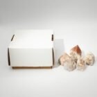Matrix with Tourmaline Top Polished Crystal Points (Approx 5-6 Pieces)